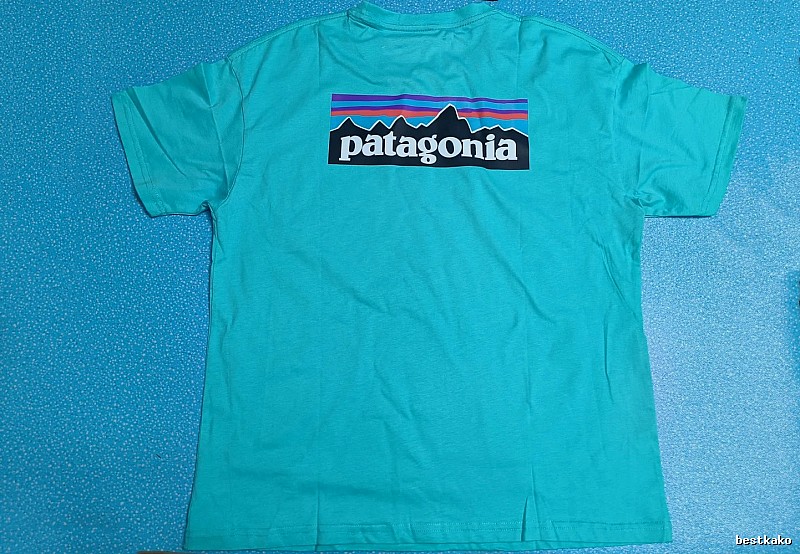 Patagonia Blue Logo T-Shirt Training Look Graphic