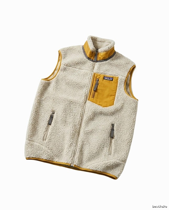 Patagonia Fleece Color - Blocked Vest
